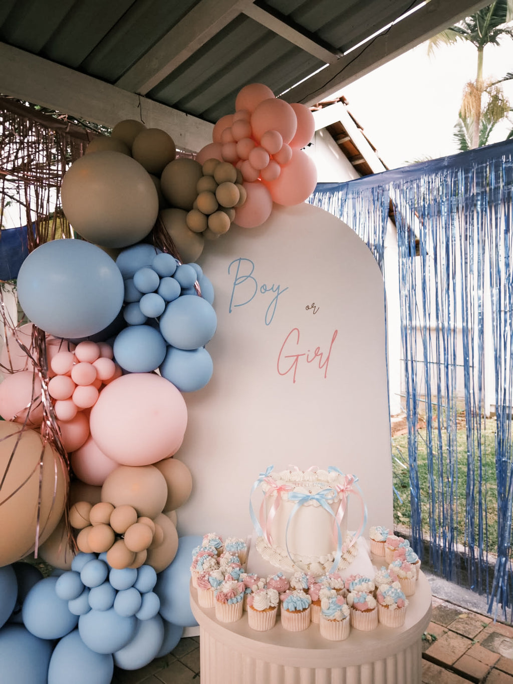 BABY SHOWER/GENDER REVEAL STYLING PACKAGES