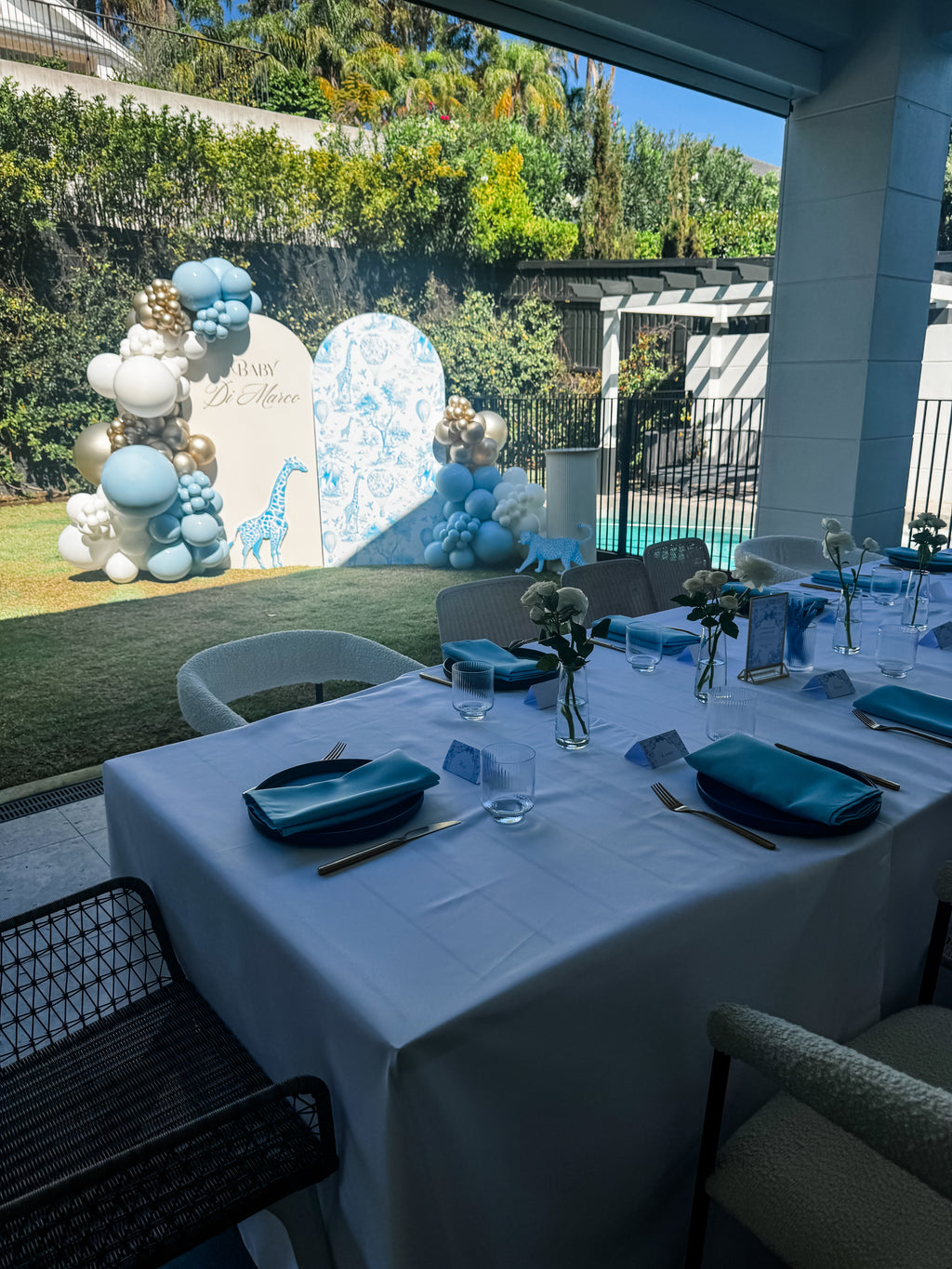 BABY SHOWER/GENDER REVEAL STYLING PACKAGES
