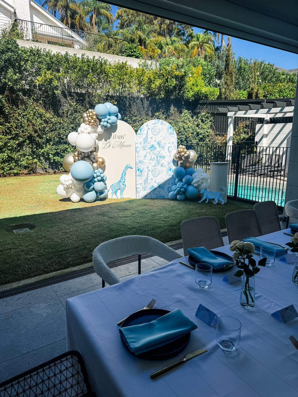 BABY SHOWER/GENDER REVEAL STYLING PACKAGES