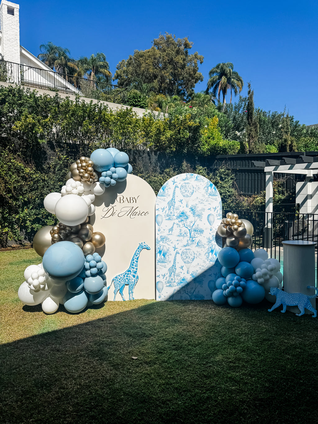 BABY SHOWER/GENDER REVEAL STYLING PACKAGES